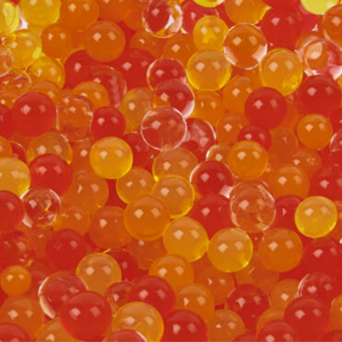 Warlock Buck Gland Scent Dabs