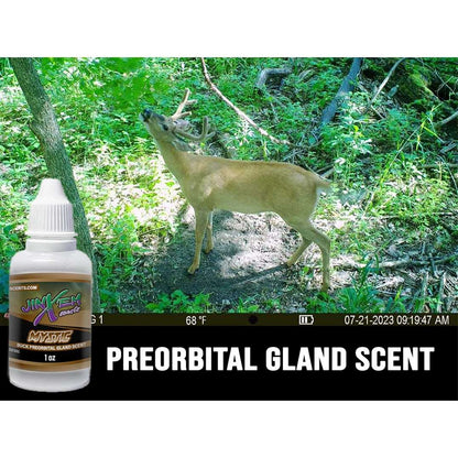 Mystic Polyglandular Gland Scent