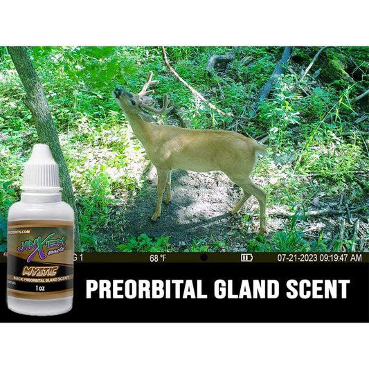 Mystic Polyglandular Gland Scent