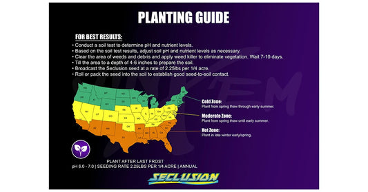 Seclusion - Sorghum Sudangrass